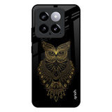 Golden Owl Mi 14 Glass Back Cover Online