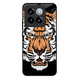 Angry Tiger Mi 14 Glass Back Cover Online