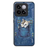 Kitty In Pocket Mi 14 Glass Back Cover Online