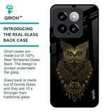 Golden Owl Glass Case for Mi 14