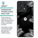 Zealand Fern Design Glass Case For Motorola Edge 50 Pro 5G