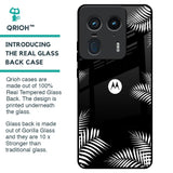 Zealand Fern Design Glass Case For Motorola Edge 50 Ultra 5G