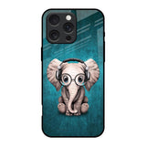 Adorable Baby Elephant iPhone 16 Pro Glass Back Cover Online