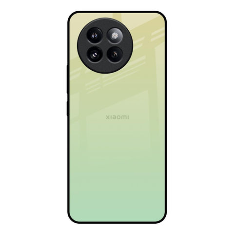 Mint Green Gradient Mi 14 CIVI Glass Back Cover Online