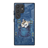 Kitty In Pocket Samsung Galaxy S25 Ultra 5G Glass Back Cover Online