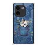 Kitty In Pocket IQOO Z9s Pro 5G Glass Back Cover Online