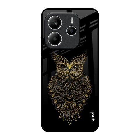 Golden Owl Redmi Note 14 5G Glass Back Cover Online