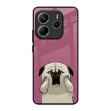 Funny Pug Face Redmi Note 14 5G Glass Back Cover Online