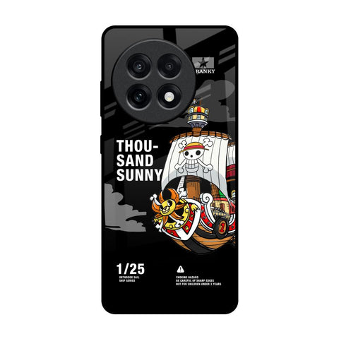 Thousand Sunny OnePlus 13R 5G Glass Back Cover Online