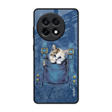 Kitty In Pocket OnePlus 13R 5G Glass Back Cover Online