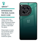 Palm Green Glass Case For OnePlus 12R 5G