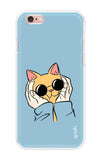 Attitude Cat iPhone 6 Back Cover