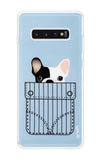 Cute Dog Samsung Galaxy S10 Plus Back Cover