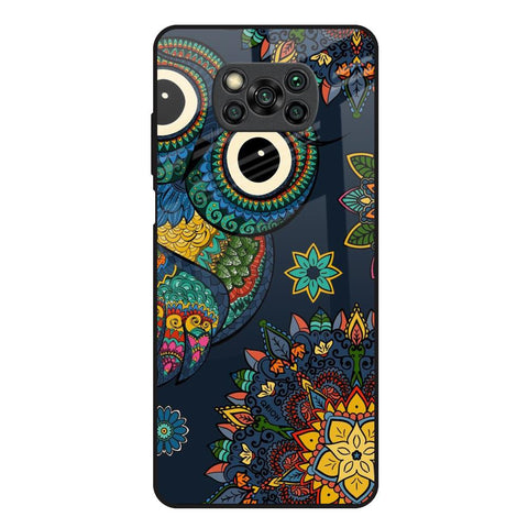 Owl Art Poco X3 Glass Back Cover Online