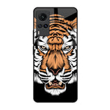 Angry Tiger Vivo X60 Glass Back Cover Online