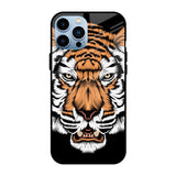 Angry Tiger iPhone 13 Pro Max Glass Back Cover Online