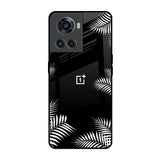 Zealand Fern Design OnePlus 10R 5G Glass Back Cover Online