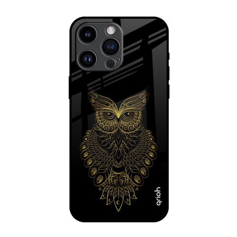 Golden Owl iPhone 14 Pro Max Glass Back Cover Online