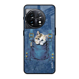 Kitty In Pocket OnePlus 11 5G Glass Back Cover Online