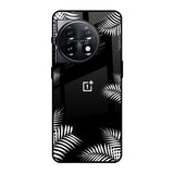 Zealand Fern Design OnePlus 11 5G Glass Back Cover Online