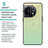 Mint Green Gradient Glass Case for OnePlus 11 5G