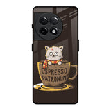 Tea With Kitty OnePlus 11R 5G Glass Back Cover Online