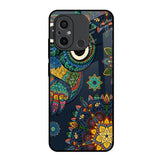 Owl Art Redmi 12C Glass Back Cover Online