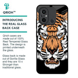 Angry Tiger Glass Case For Redmi 12C