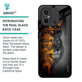 King Of Forest Glass Case for Redmi 12C