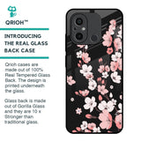 Black Cherry Blossom Glass Case for Redmi 12C