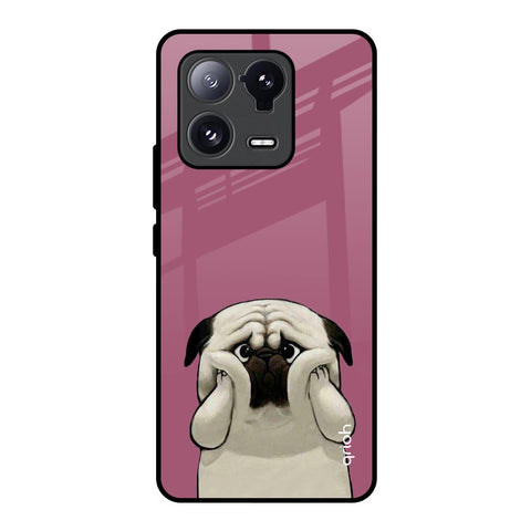 Funny Pug Face Mi 13 Pro Glass Back Cover Online