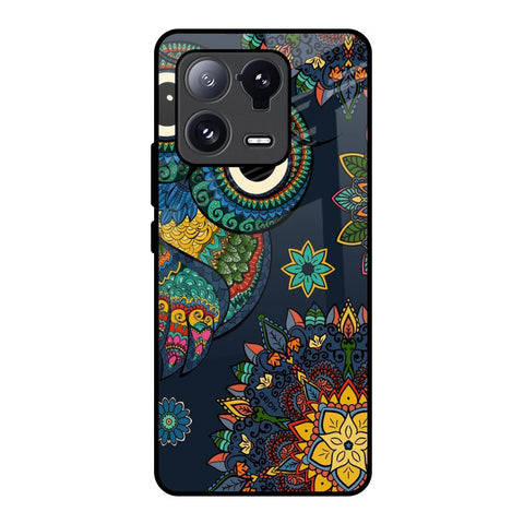 Owl Art Mi 13 Pro Glass Back Cover Online