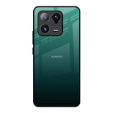 Palm Green Mi 13 Pro Glass Back Cover Online