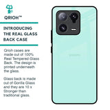 Teal Glass Case for Mi 13 Pro