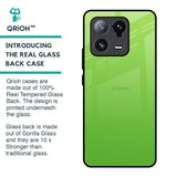 Paradise Green Glass Case For Mi 13 Pro