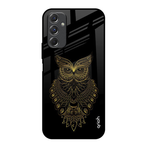 Golden Owl Samsung Galaxy F34 5G Glass Back Cover Online
