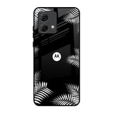 Zealand Fern Design Motorola G84 5G Glass Back Cover Online